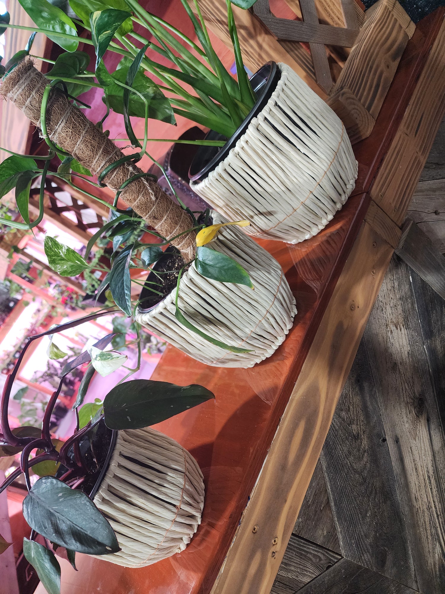 Pots and Vases