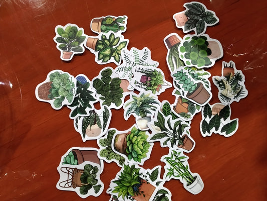 Plant Stickers
