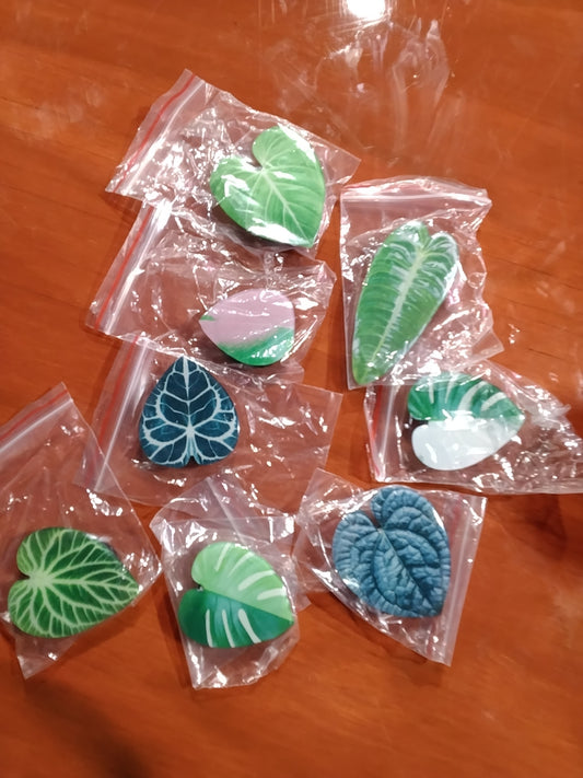 Plant Pop Socket