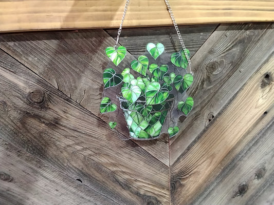 Sun Catcher