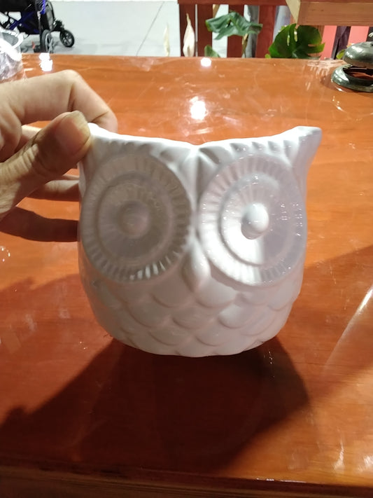 Owl Pot