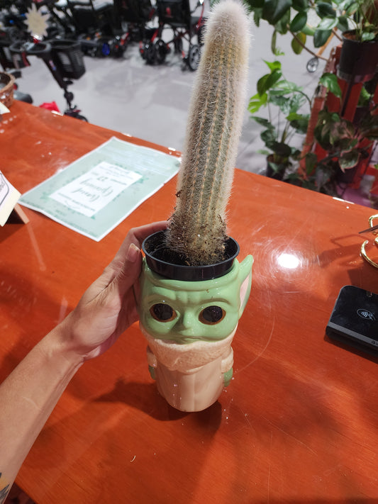Yoda Holder with Cactus