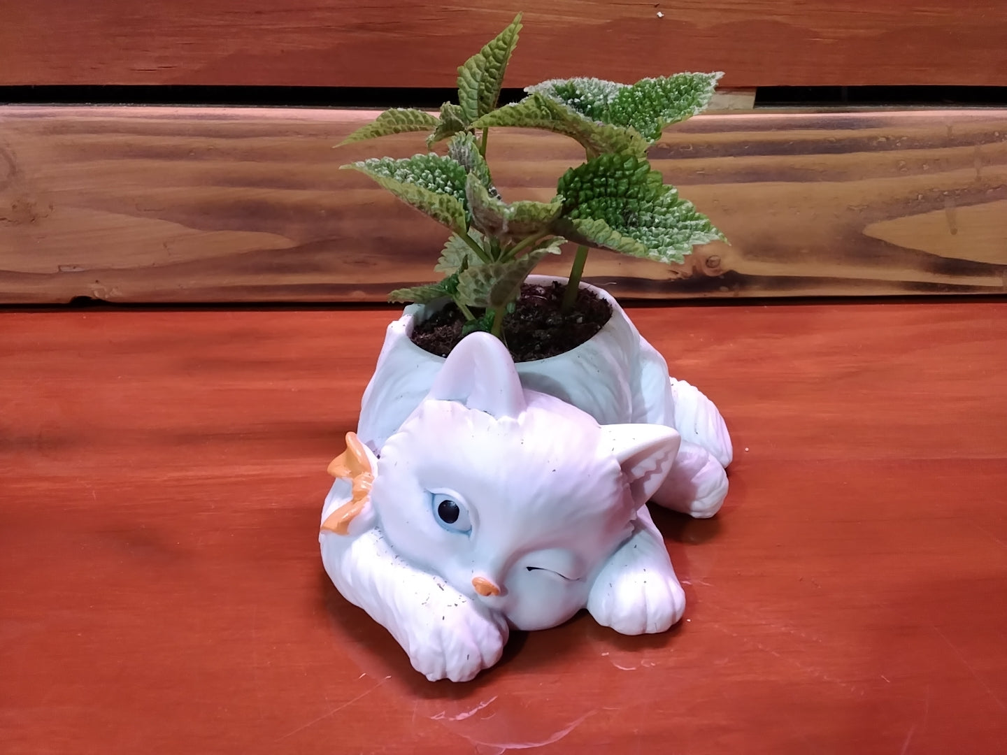 Cat Planter