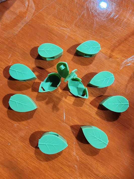 Plant Wall Hangers
