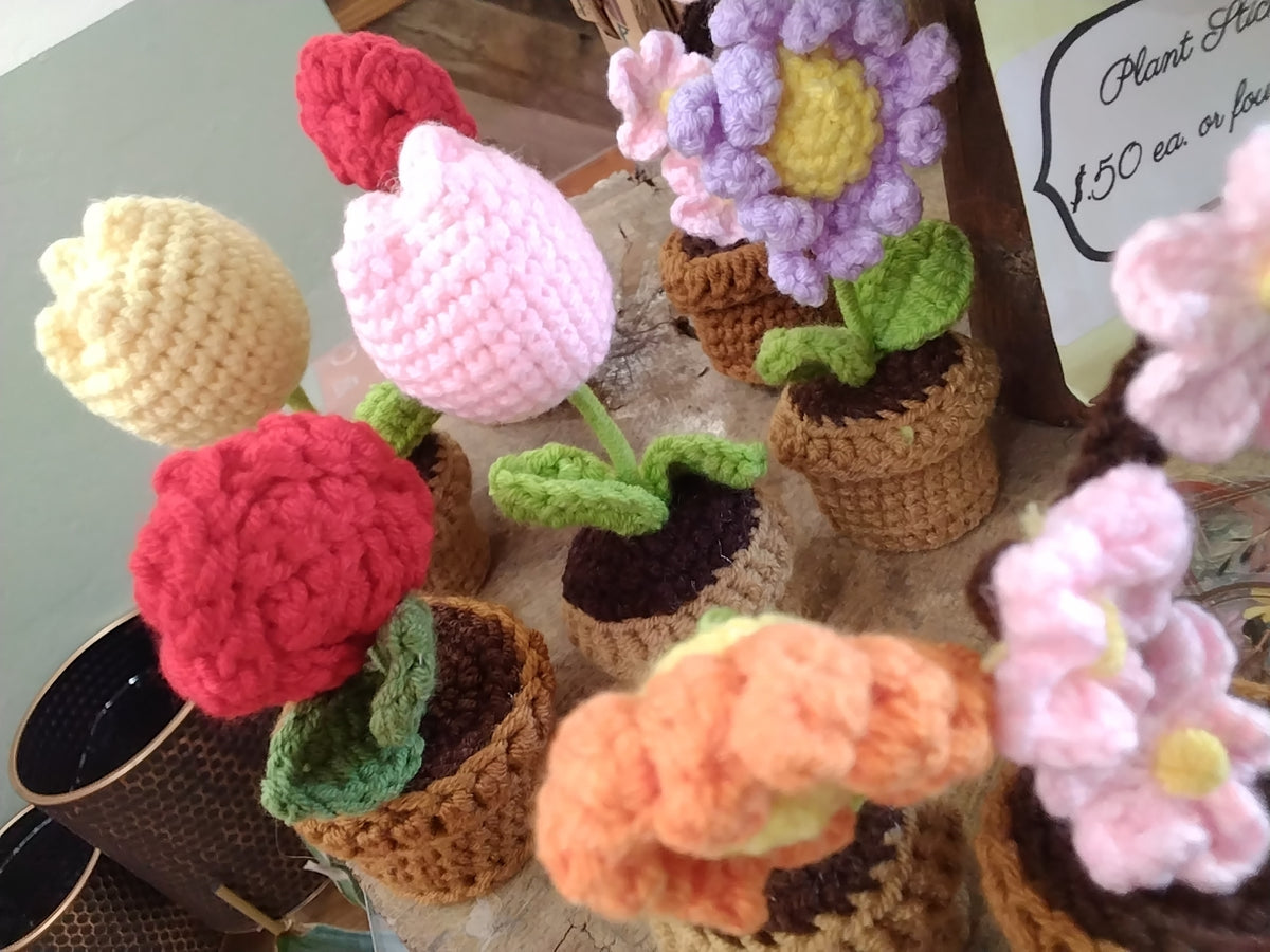 Crochet Plants/Flowers