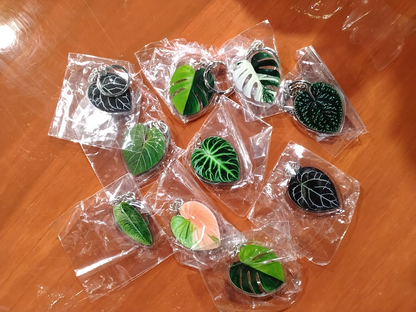 Plant Keychains