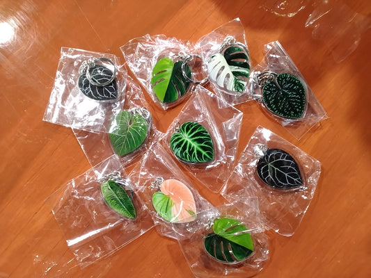 Plant Keychains