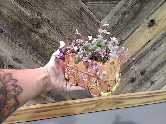 Bus Planter with creeping inch plant
