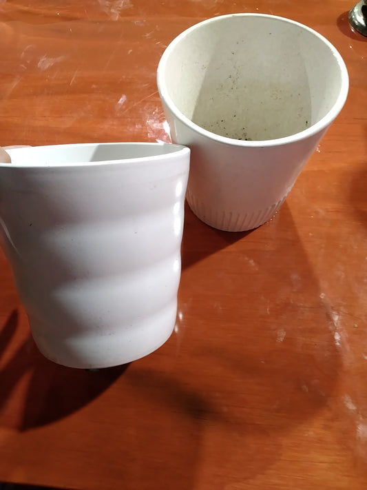 5" White Pot