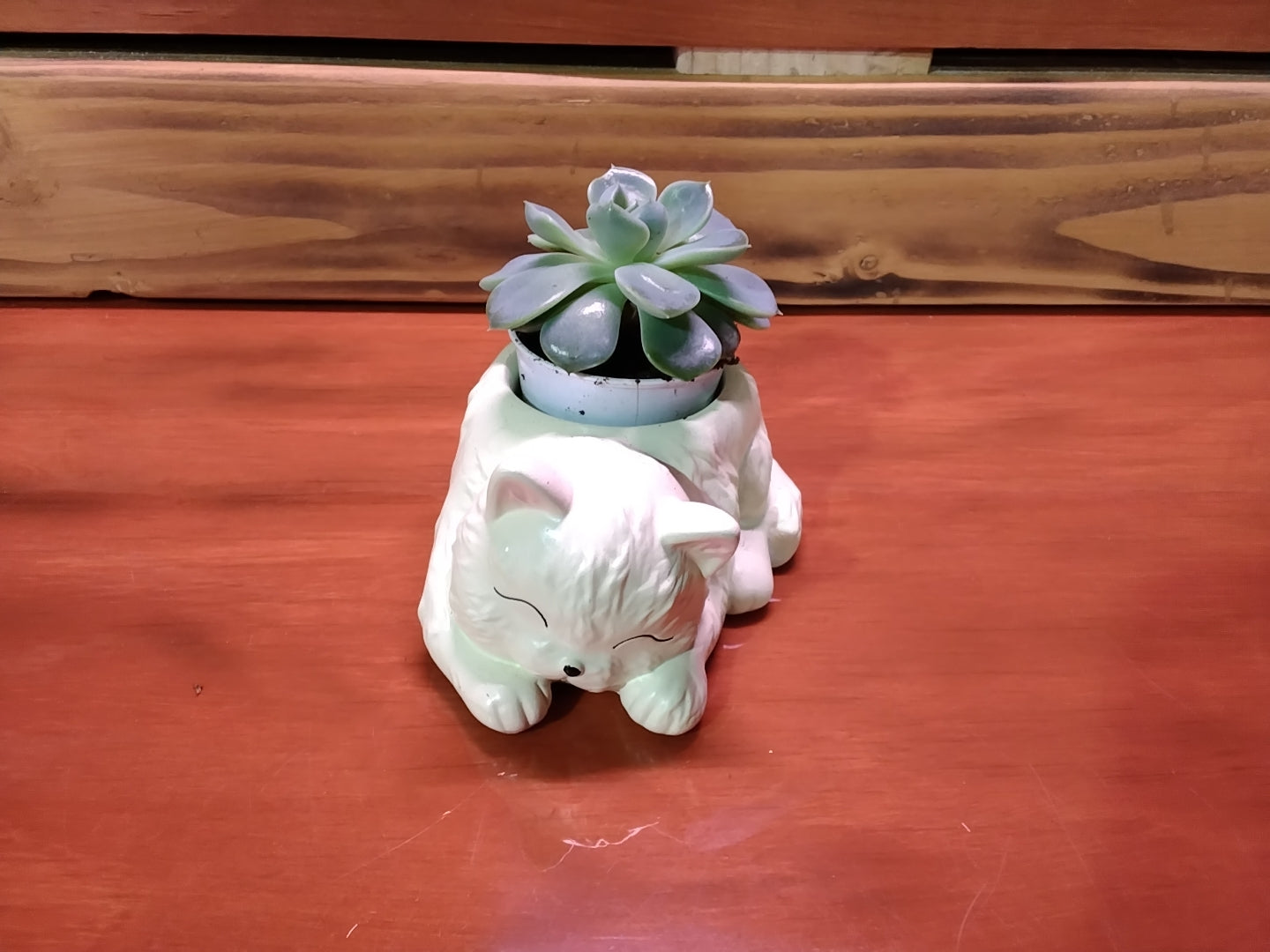 Cat Planter