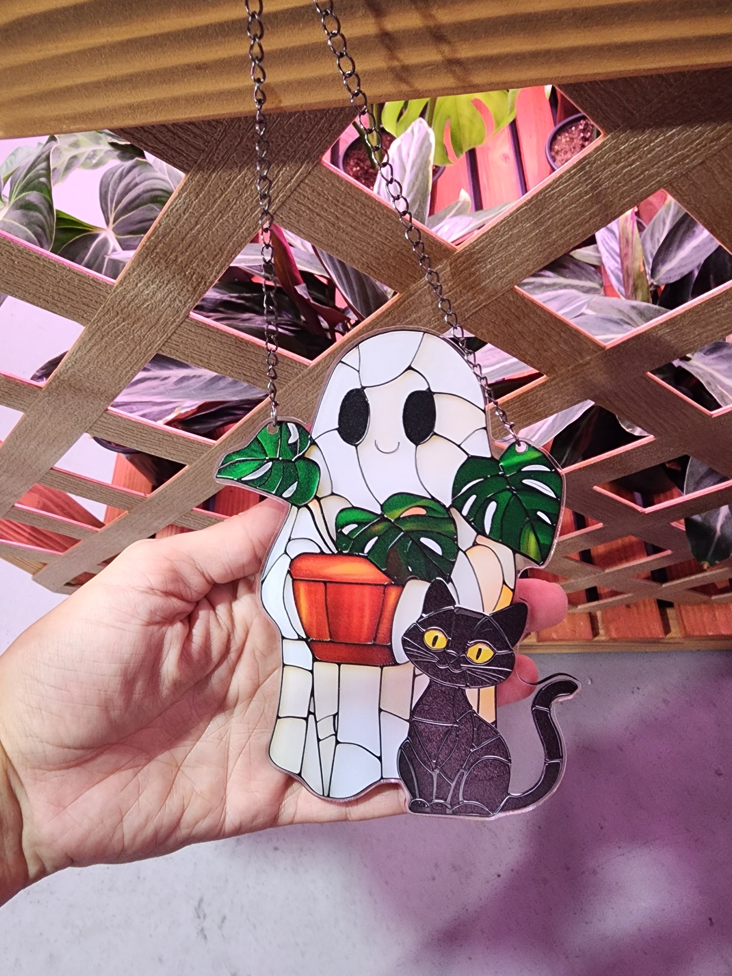 Sun Catcher