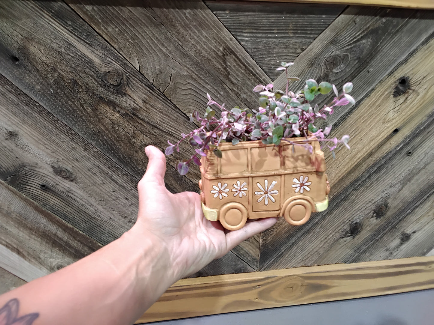 Bus Planter with creeping inch plant