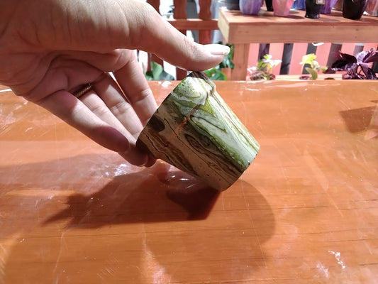 (Green, Gold, White, Red Brown) terracotta pot